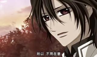 吸血鬼骑士guilty 吸血鬼骑士guilty